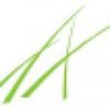 Great Grass Logotipo
