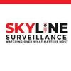 Skyline Surveillance Logotipo