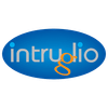 intruglio store Logotype