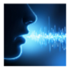 Realtime Voice Training Logotype