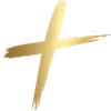 Motion Studio Logo