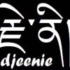 DJEENIE VOF Logotype