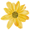 Lebenskraftshop Logo