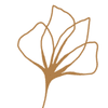 Let's Bloom, each day Logotipo