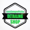Autosemprepulita Logotipo