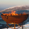 The Firebowl Shop Logotyp