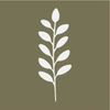 Spring Effect Logotyp