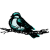 Emily Cummings Photography Logotyp