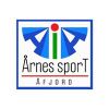 aia-sport.no Logó
