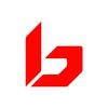 Bolle Logotype