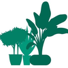 Tommys Planter Logó