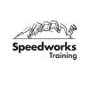Speedworks Logotipo