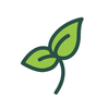 Bloomling Logotyp