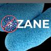 Zane-Store Logotype