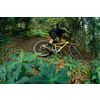 BikeWise & Run Logotyp