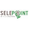 SELEPOINT S.R.L. Logotipo