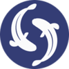 Norfine Nets Logotipo