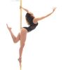 ThePoleDancer.com Logotyp