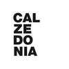 Calzedonia Logotype