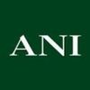 Ani Jewels Logotyp