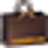 vanbruun Logo