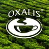 OXALIS Logotyp