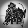 perfected particles Logotype