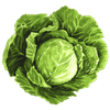 Wise Goat Organics Logotyp