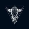 Gin Bocage Logotyyppi