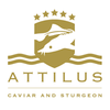 Attilus Kaviar S 