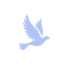 MindCare Logotype