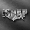 PATCHSNAP Logotype