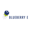 BlueberryE Logotype
