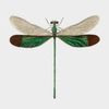On A Dragonfly's Wings Logotype
