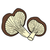 Lamellenpilze Logotyp