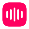 Vocalliezz Logotype