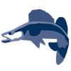 www.fishing-adventure.com Logotipo