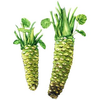 Wasabi Crop Logotype