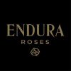 enduraroses.com Logotype