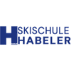 SP SKISCHULEMAYRHOFEN Logotipo
