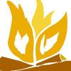 HC Skov Logo