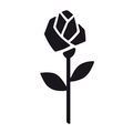 Seidensticker Logotyp