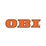 OBI Logotyp