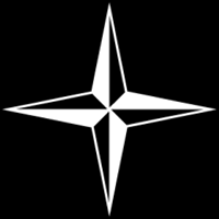 Stone Island Logotype