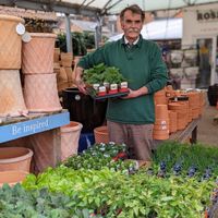 Roses of Devizes Logotype