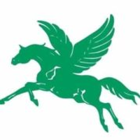 Pegasus-Elscooter Logo