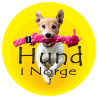Hund i Norge Logo