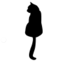 Bossy Cat Logotype