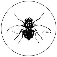 common housefly Logotype