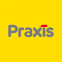 Praxis Logotype